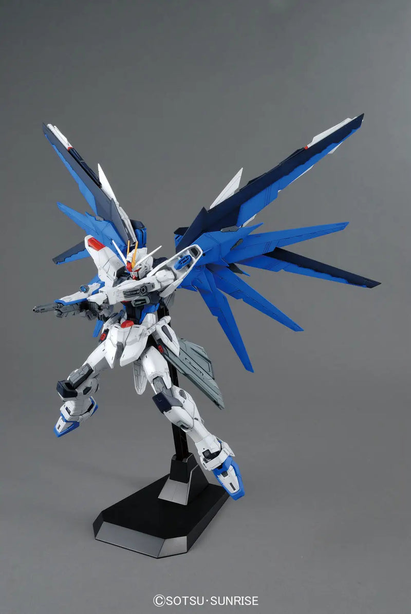 MG 1/100 FREEDOM GUNDAM Ver.2.0
