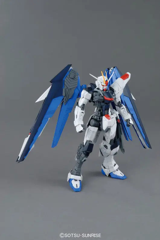 MG 1/100 FREEDOM GUNDAM Ver.2.0