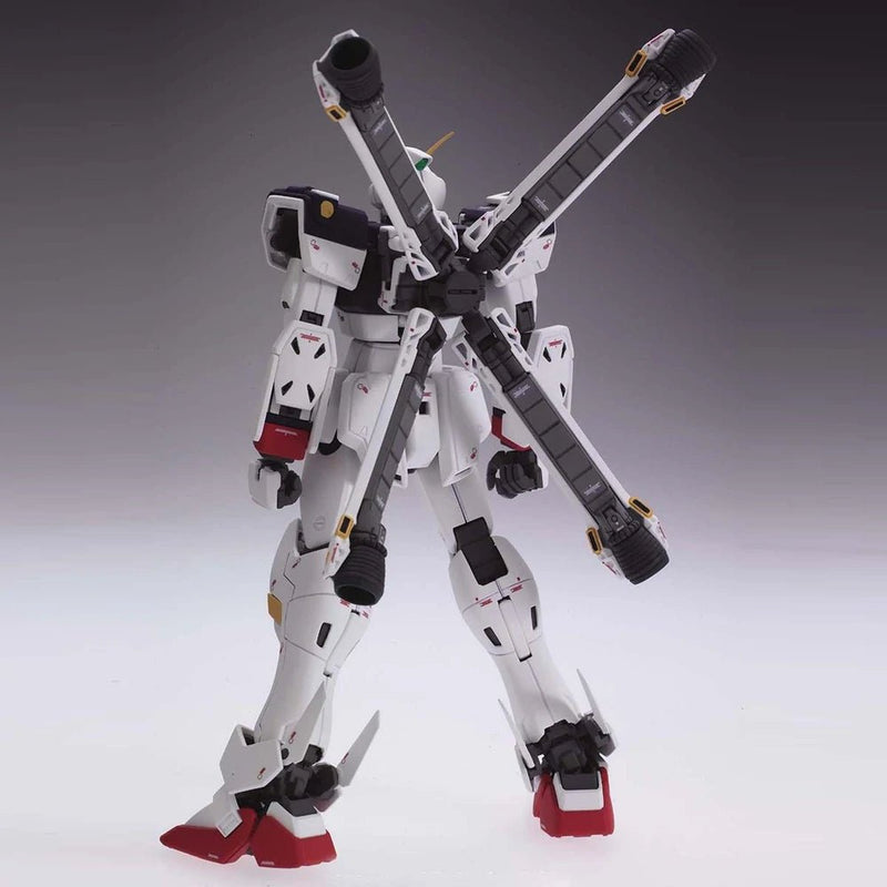 MG Cross Bone Gundam X1 Ver.Ka