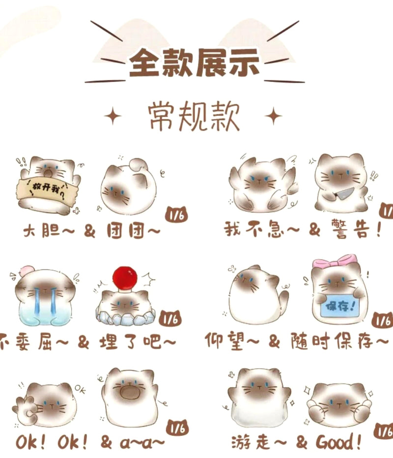 Cat PAI Performance Artist blind box (2 pcs per box)