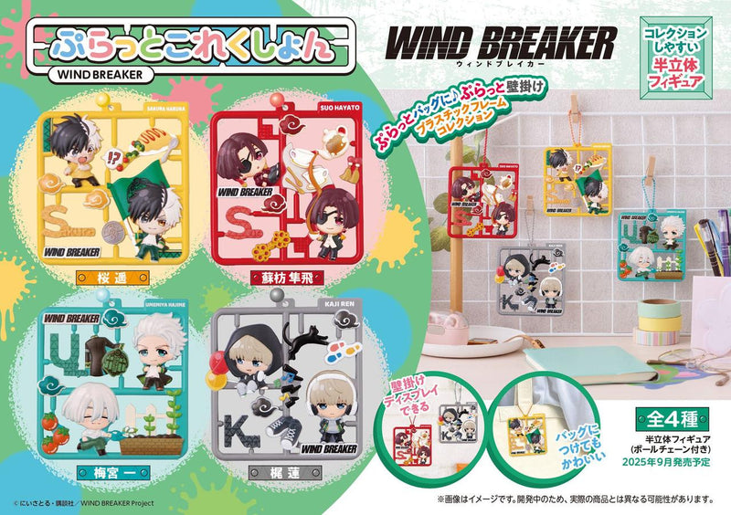 Plat collection WIND BREAKER - 1PC (4pc per Full Set Box)