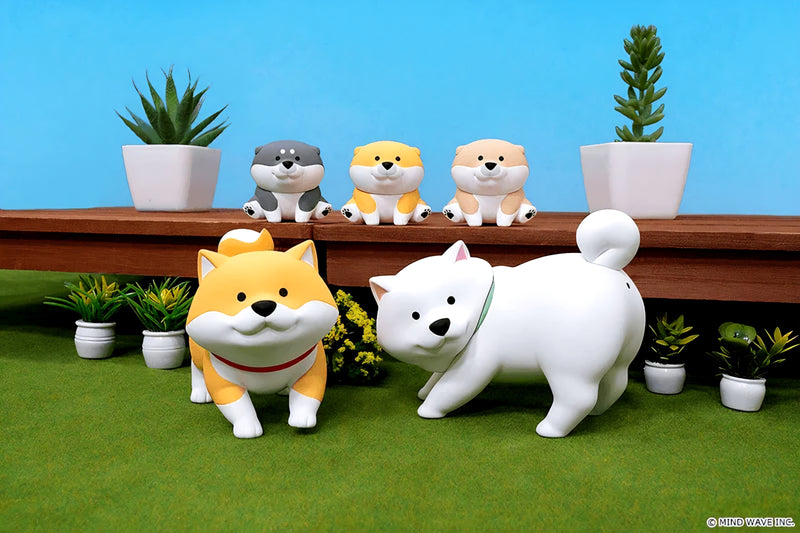 Blind Box Series Shibanban