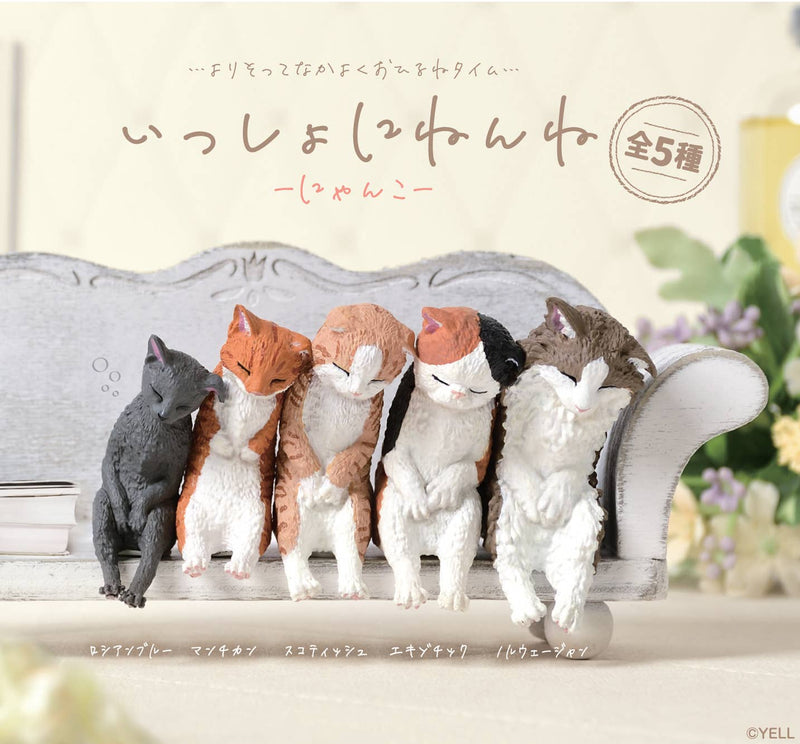 【Limited Stock - Online Only】Let's Sleep Together Cats Blind Box - 1 PC (10 pcs per Full Set Box)
