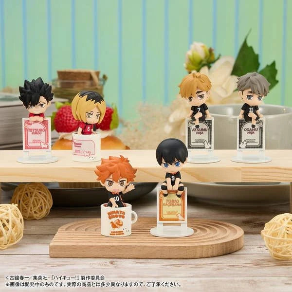 Ochatomo series Haikyu!! Break Time on the Top